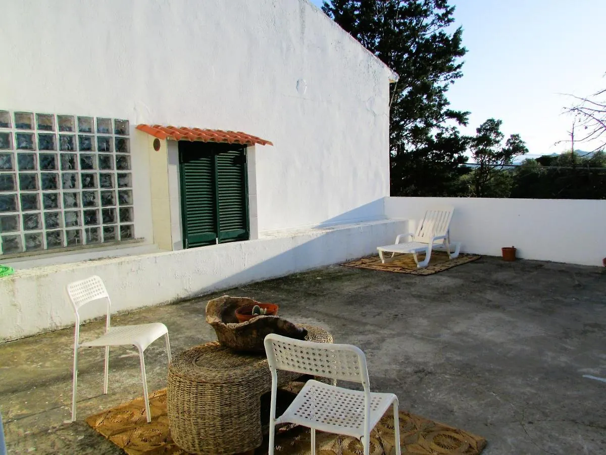 Casa Sticcadu, Guest House With Terrace Olbia