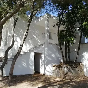 Affittacamere In Campagna Da Nino, Olbia